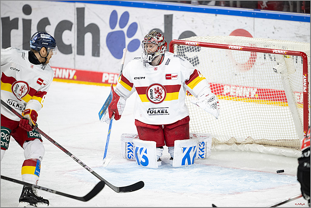 PENNY DEL 1; Kölner Haie - Düsseldorfer EG ; Köln, 16.02.2025